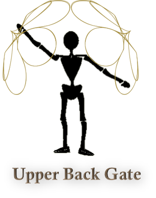 Upper Back Gate